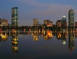 Boston Scientific Spinal Cord Stimulator Accessories