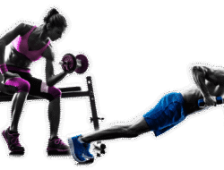 Fitness Business Management Software That Transforms Your Gym