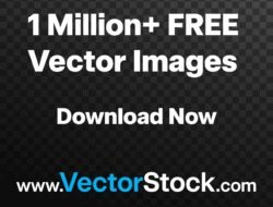 Discount Swimming Pool Accessories For Summer Fun